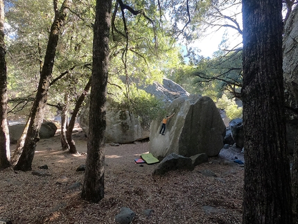 Yosemite boulder -  Francesco Spadea sui boulder a Camp 4 in Yosemite