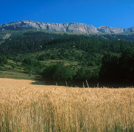 Ceüse - La grande e 'alta' parete di Ceüse, Haute Alpes, Francia. Magnifica falesia con un calcare fatto apposta per arrampicare.