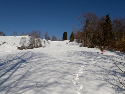 Monte Pubel Valsugana, Francesco Leardi - Sogno e realtà sul Monte Pubel in Valsugana: di ritorno dopo la prima ripetizone