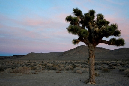 Brittany Goris makes first female ascent of Stingray at Joshua Tree, USA