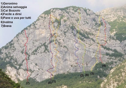 Monte Pizzocolo, Prealpi Bresciani, Leonardo Dagani, Mauro Florit - Monte Pizzocolo, Prealpi Bresciane e le vie di arrampicata: 1. Via Geronimo 2. Anima selvaggia 3. CAI Bozzolo 4. Facile a dirsi 5. Pane e uva per tutti 6. Ivalma 7. Sveva