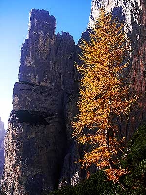 Torre Trieste, Civetta, Dolomiti - Torre Trieste, Civetta, Dolomiti