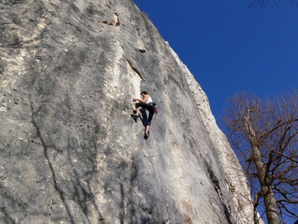 Rock climbing in Romania - Rock climbing in Romania: Titus Gontea on Deify Thy Master, 8a+, Postavaru
