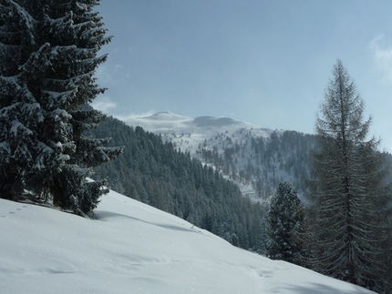 Lagorai - Cima Nassere - La cima vista dai pascoli di Malga Nassere