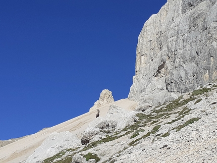 Tempo ai Tempi, Dario Bertoletti, Edoardo Rovetta - Tempi Moderni, Marmolada: buona salita