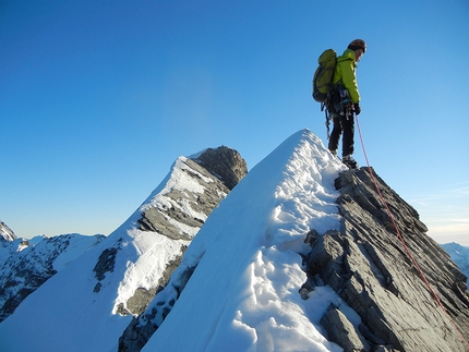 Gran Zebrù, Ortles - Dal Gran Zebrù all'Ortles: Alessandro Lucchi sulla Hochjochgrat, Ortler