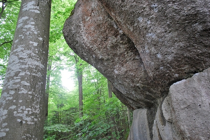 Action Directe, Frankenjura, Wolfgang Güllich - The incredibly steep line of Action Directe up through the stunning prow at Waldkopf, Frankenjura, first climbed by Wolfgang Güllich on 14 September 1991. Mélissa Le Nevé carried out the coveted first female ascent in 2020