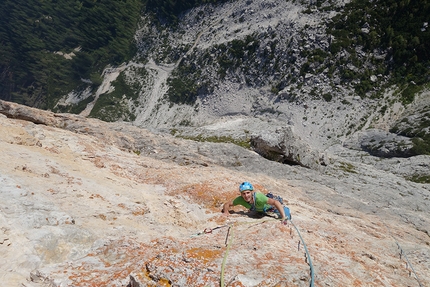 Torre Venezia, Civetta, Dolomiti, Alessandro Baù - Alessandro Baù alla fine dell'ottavo tiro di Stile Libero alla Torre Venezia in Civetta, Dolomiti