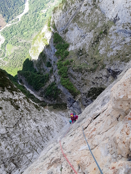 Via Collaborazione, Spiz di Lagunaz, Pale di San Lucano, Dolomiti, Silvia Loreggian, Stefano Ragazzo - Via Collaborazione, Spiz di Lagunaz, Pale di San Lucano: la sezione centrale della via