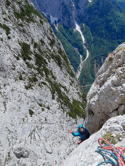 Via Collaborazione, Spiz di Lagunaz, Pale di San Lucano, Dolomiti, Silvia Loreggian, Stefano Ragazzo - Via Collaborazione, Spiz di Lagunaz, Pale di San Lucano: non più così lontani dalla cima