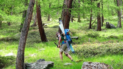 Täschhorn Svizzera, Cristian Botta, Davide Terraneo - Täschhorn Svizzera: Cristian Botta in partenza nei verdi boschi di Tasch