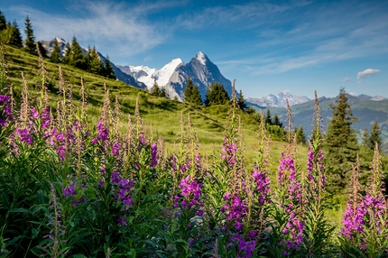 Svizzera - Vista verso l'Eiger in Svizzera