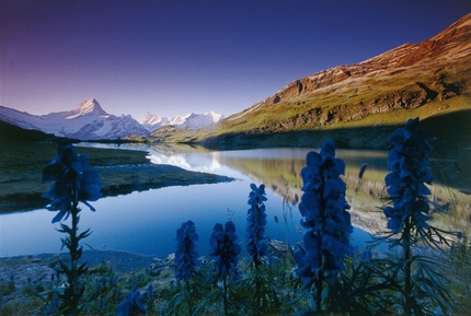 Bachalpsee, Svizzera - Bachalpsee, uno dei laghi più belli della Svizzera