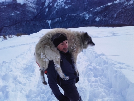 Daniele Caneparo. Una storia di montagne, uomini e cani