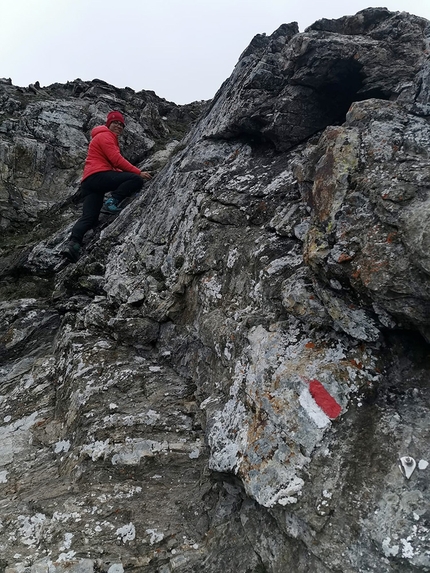 Punta d’Albiolo, Cevedale - La salita alla Punta d’Albiolo nel gruppo del Cevedale