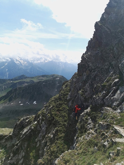 Punta d’Albiolo, Cevedale - La salita alla Punta d’Albiolo nel gruppo del Cevedale