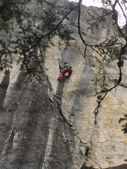 Arrampicata Barliard, Ollomont, Valle d’Aosta - In arrampicata nella falesia di Barliard, Ollomont, Valle d’Aosta