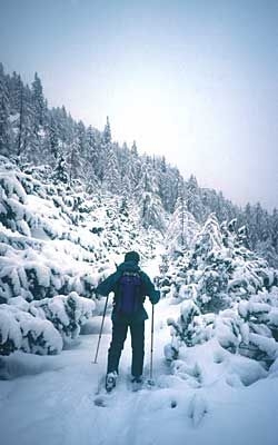 La tecnica con le racchette da neve