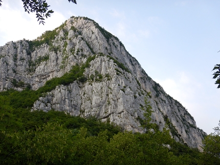 Monte Pastello, Val d'Adige, Marco Gnaccarini, Ivan Maghella - La parete di Monte Pastello, Val d'Adige vista dal bosco