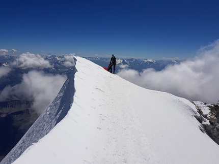 Pilone Centrale del Frêney One Push di Denis Trento e Filip Babicz - Pilone Centrale del Frêney sul Monte Bianco: One Push di Denis Trento e Filip Babicz