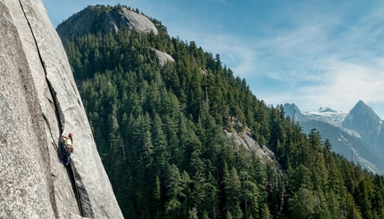 Una montagna di cambiamenti climatici: ambiente e natura protagonisti al Trento Film Festival 2020