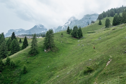 Cima Uomo, Dolomiti di Brenta, Rolando Larcher, Matteo Pavana - Durante l'apertura di Giovani Guerrieri per Vecchi Leoni alla Cima Uomo, Dolomiti di Brenta (Rolando Larcher, Matteo Pavana 06/2020)