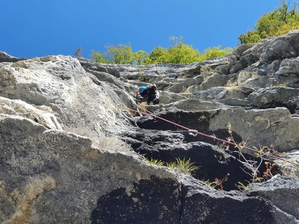 Il tempio dell'Edera al Monte Pubel in Valsugana di Angelo Giaretta e Francesco Leardi