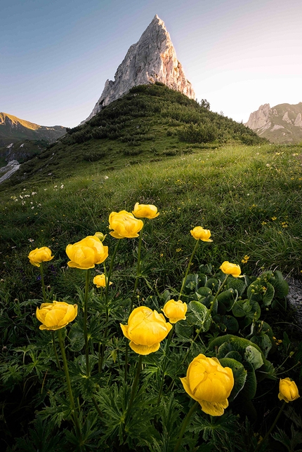 Calendario Montagne di Lombardia - Magnifica visione - Fior di botton d’oro, Monte di Corna Bianca – Val Cadino  / luglio Montagne di Lombardia - Magnifica visione
