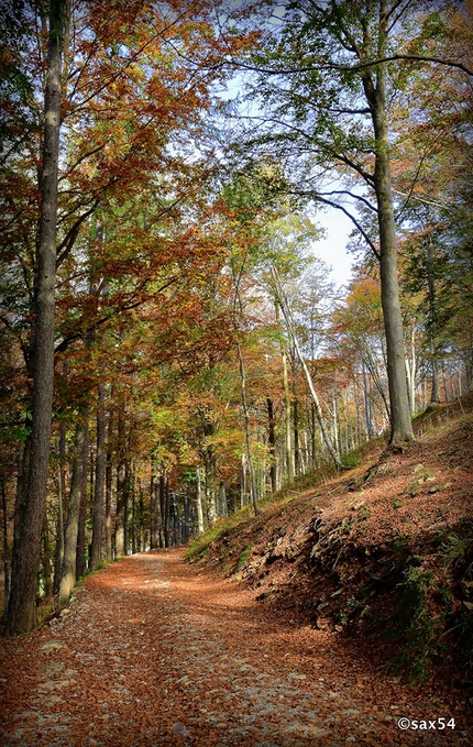 Calendario Montagne di Lombardia - Magnifica visione - Passeggiare nel Parco del Valentino, Piani Resinelli / settembre Montagne di Lombardia - Magnifica visione