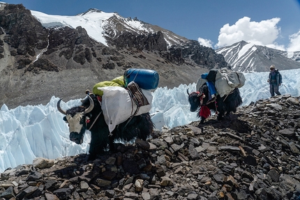 Everest, The Ghosts from Above - The Ghosts from Above: yak on the Miracle Highway on Everest