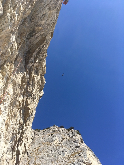 Monte Pasubio, Piccole Dolomiti, Marco Toldo, Ivo Maistrello, Diana Sbabo - Angoscia al Sojo Rosso (Monte Pasubio): secondo presagio