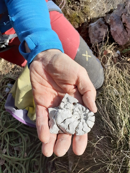 Monte Pubel, Valsugana, Francesco Leardi, Fausto Maragno - Durante l'apertura di Il mondo parallelo di Aki sulla parete dell’Edera al Monte Pubel in Valsugana. 'Su un ballatoio roccioso dove immaginavo che avremmo terminato la 'tua' via ho trovato un fossile di una bellezza straordinaria, semplicemente appoggiato, un ritrovamento assai raro e inconsueto anche per me che di fossili ne ho sempre trovati molti. Credo, non credo, non so: Jacopo sei stato tu?'