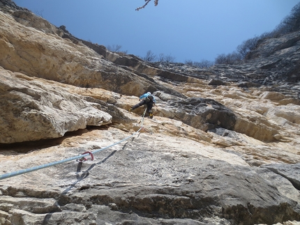 Monte Pubel, Valsugana, Francesco Leardi, Fausto Maragno - Durante una ripetizione di Il mondo parallelo di Aki sulla parete dell’Edera al Monte Pubel in Valsugana