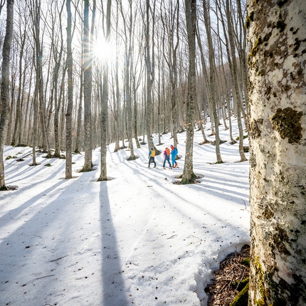 Il respiro della montagna: l'incanto delle montagne nell'era post-isolamento #1