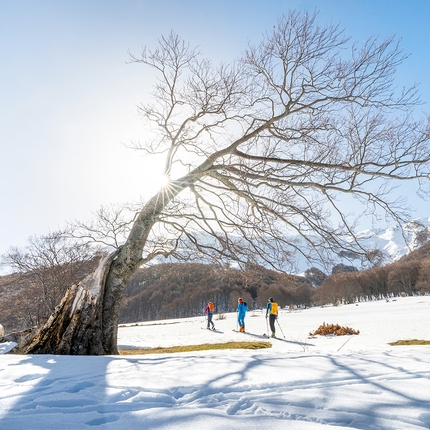Il respiro della montagna - L’incanto delle Montagne nell’era post-isolamento 