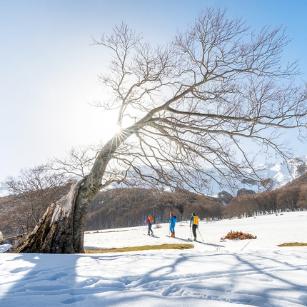 Il respiro della montagna - L’incanto delle Montagne nell’era post-isolamento 