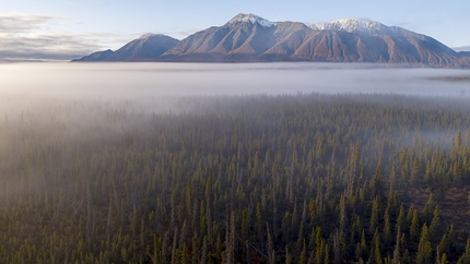 Trento Film Festival - La Taiga: un ritratto della foresta boreale che attraversa il Nord America, la Russia, l'Europa e il Giappone.