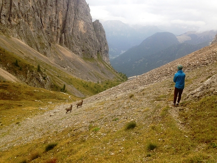 Torre di Mezzaluna, Vallaccia, Dolomiti, Serendipity, Enrico Geremia, Nicolò Geremia - Serendipity alla Torre di Mezzaluna in Vallaccia (Dolomiti) di Enrico Geremia e Nicolò Geremia