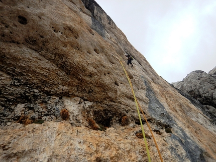 Torre di Mezzaluna, Vallaccia, Dolomiti, Serendipity, Enrico Geremia, Nicolò Geremia - Serendipity alla Torre di Mezzaluna in Vallaccia (Dolomiti) di Enrico Geremia e Nicolò Geremia