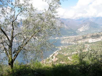 Belvedere Nago Arco - Vista dalla falesia di Nago sul Lago di Garda