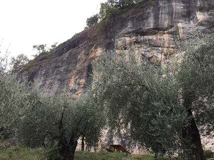 Calvario Arco - The crag Calvario at Arco
