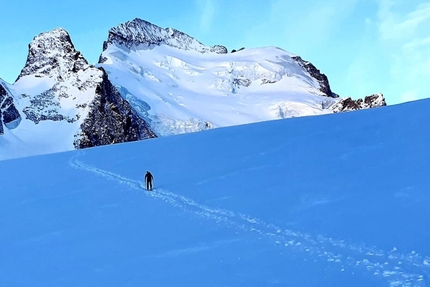 Altavia 4000, Nicola Castagna, Gabriel Perenzoni, 82 x 4000m of the Alps - Ascending Barre des Ecrins: Nicola Castagna and Gabriel Perenzoni 