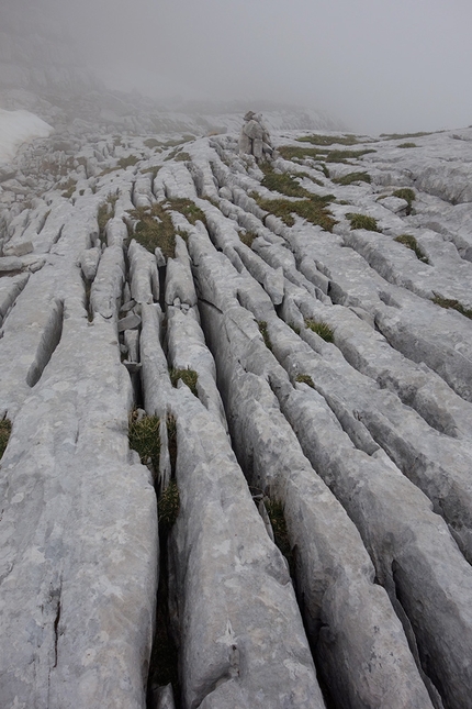 Anima Fragile, Col dei Camorz, Civetta, Dolomiti, Alessandro Beber, Alberto Fedrizzi, Martina Paolazzi - Erosioni carsiche sul sentiero del Van delle Sasse, Gruppo della Civetta, Dolomiti