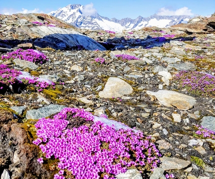 Valorizzazione della montagna: 4 borse di Studio Outback '97 per l'Università di Bergamo