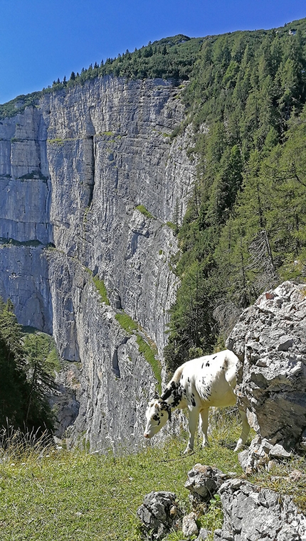 Val Trementina, Paganella, Rolando Larcher, Luca Giupponi - Gate to Fly in Val Trementina (Paganella), la vista dall'imbocco del canale d'attacco