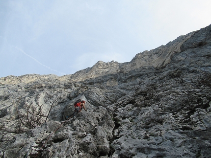 David Leduc, Dolomiti - David Leduc in arrampicata nelle Pale di San Lucano, Dolomiti, nel 2020