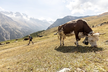 Tor de Geants 2021, TOR330 - Tor de Geants 2021: Col Entrelor, day 4