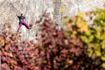 Climbing Park Balteo, Donnas - The Climbing Park Balteo at Donnas