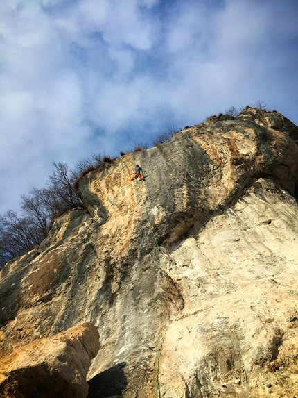 Luca Bana frees Extrasistole galoppante 9a at Cornalba, Italy