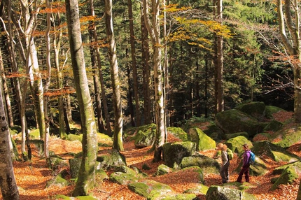 Accompagnatore di media Montagna - Per diventare Accompagnatore di media Montagna è necessario frequentare il corso di formazione che ha una durata di circa 60 giorni, al termine del quale occorre sostenere un esame per conseguire l’abilitazione.